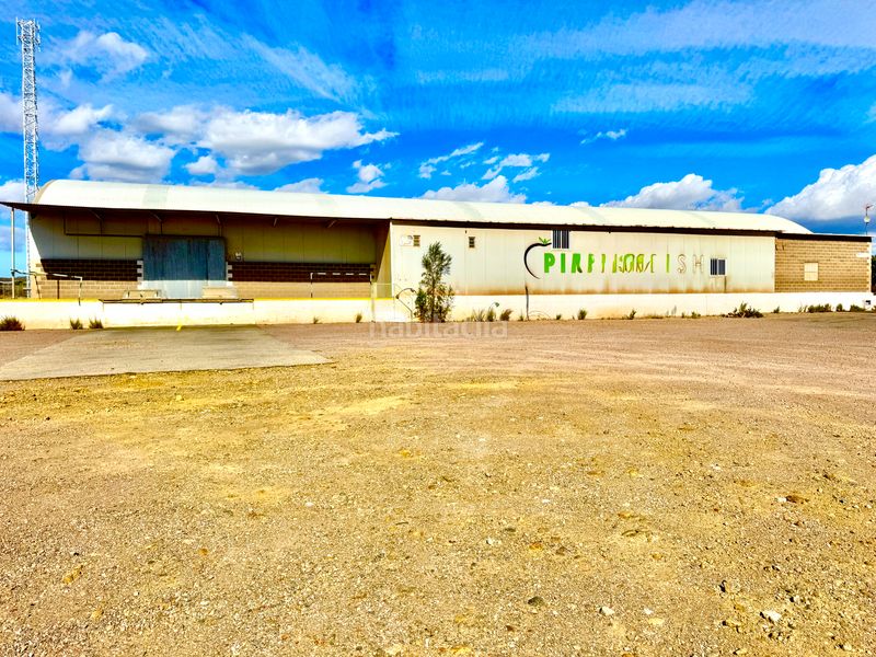 Foto 8de45f49-1694-4553-95da-acce9d4cd308. Nau industrial a San Isidro - Campohermoso Níjar