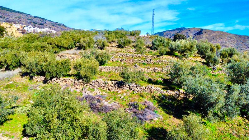 Foto d2810527-2449-4d39-ab40-43908086dd20. Fondo rustico in calle santa maria 40 in Alpujarra de la Sierra