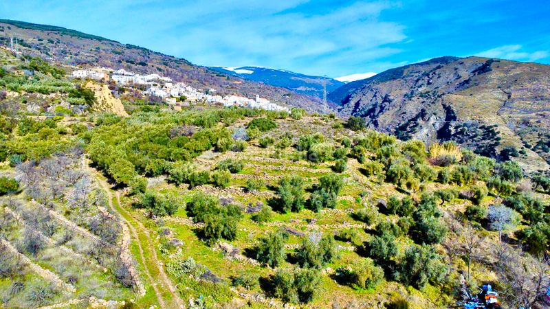 Foto d2b8c8d6-b89b-43f3-8137-e7b05ccdb63d. Fondo rustico in calle santa maria 40 in Alpujarra de la Sierra