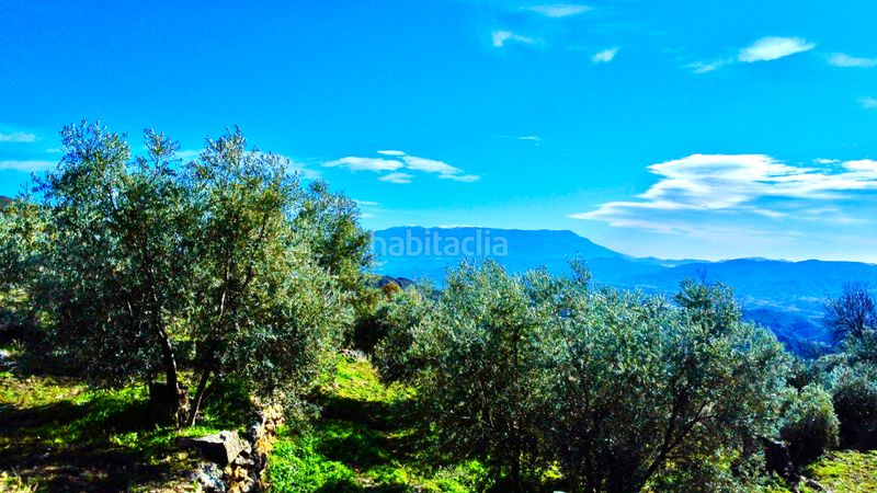 Foto d9667b25-6f88-4f65-9e04-2143e0453375. Fondo rustico in calle santa maria 40 in Alpujarra de la Sierra