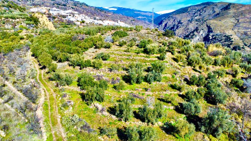 Foto e9ab4fa4-4d88-44a8-9f7f-f37a18048b97. Fondo rustico in calle santa maria 40 in Alpujarra de la Sierra