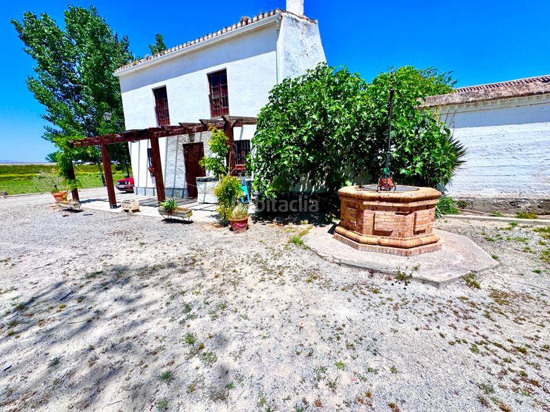 Foto 63d652be-1b3c-49da-89ea-a23c552db463. Casa amb aparcament piscina a Rosaleda - Juventud Granada