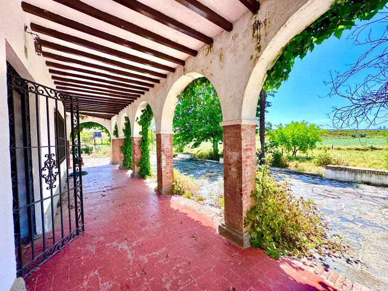Foto aa3f5385-a1db-41b2-9b28-c43c22e35e3f. Casa amb aparcament piscina a Rosaleda - Juventud Granada