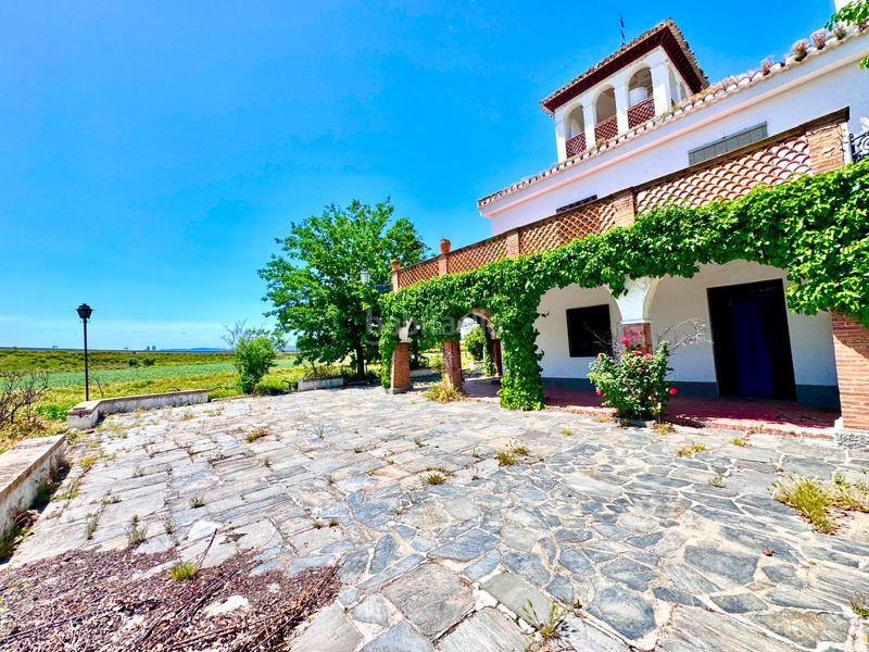 Foto b56ac588-747f-4a58-b426-80e1cda0b81f. Casa amb aparcament piscina a Rosaleda - Juventud Granada