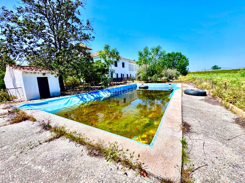 Foto c96264f1-dce6-4bd9-b1af-8c8f17c99bbb. Casa amb aparcament piscina a Rosaleda - Juventud Granada