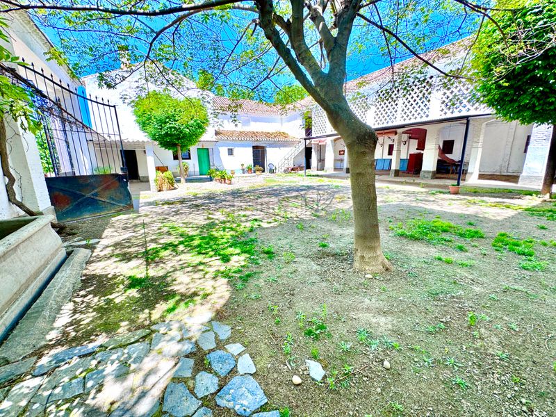 Foto e1a0ec6d-14b6-4c7c-a46c-47295d2e11be. Casa amb aparcament piscina a Rosaleda - Juventud Granada