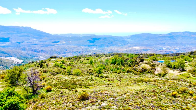 Foto 1fc38013-796a-4007-9ae0-93476a97a823. Finca rústica a n/a a Nevada