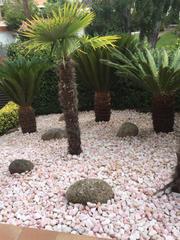 Location Maison  Carrer de joan maragall. Casa impecable en vilassar de dalt