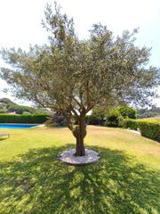 Haus  Urbanización supermaresme. Exclusiva villa en sant vicenç de montal