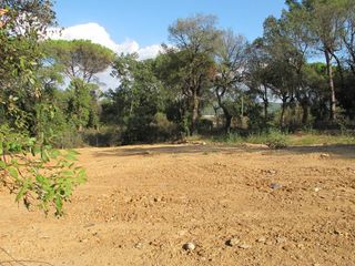 Terreno residencial en Puigsacalm 90. Terreno en venta en montilivi-palau