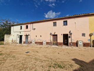 Masia  Major (can ribes)