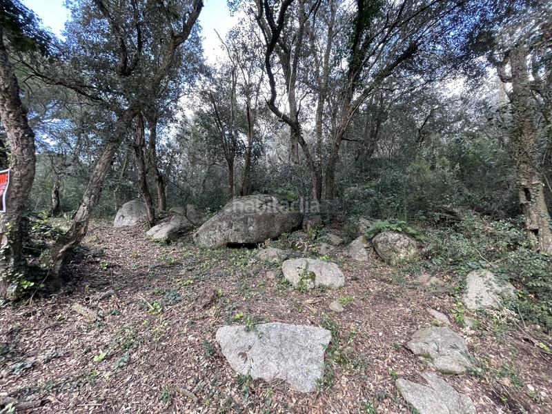 Foto 1ad50b88-8e2c-4ef3-8452-6a9135e69a9c. Terreno residencial en Urbanitzacions del Nord Santa Cristina d´Aro