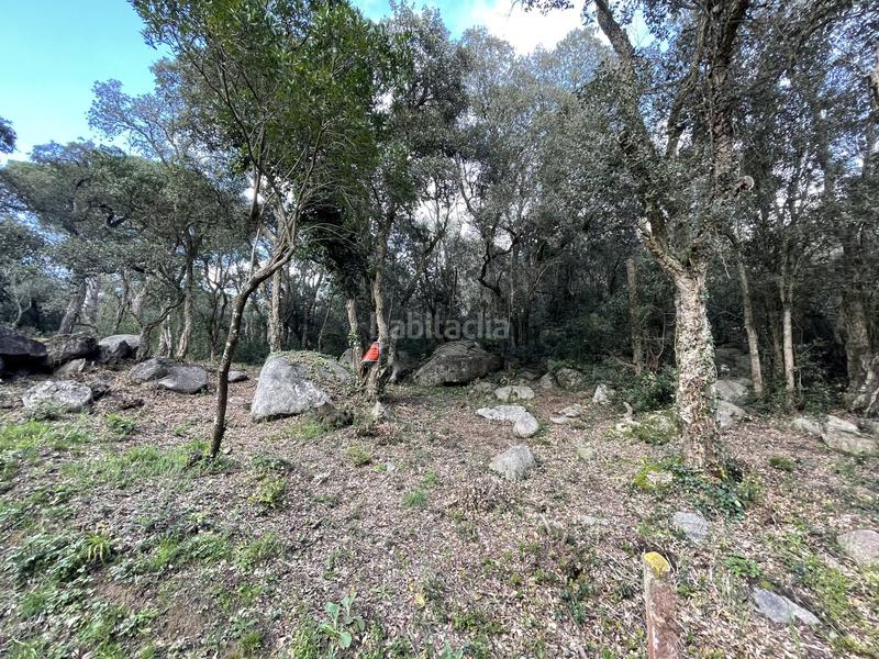 Foto c6a59fd3-1995-46e5-bc28-90f55744f733. Terreno residenziale in Urbanitzacions del Nord Santa Cristina d´Aro