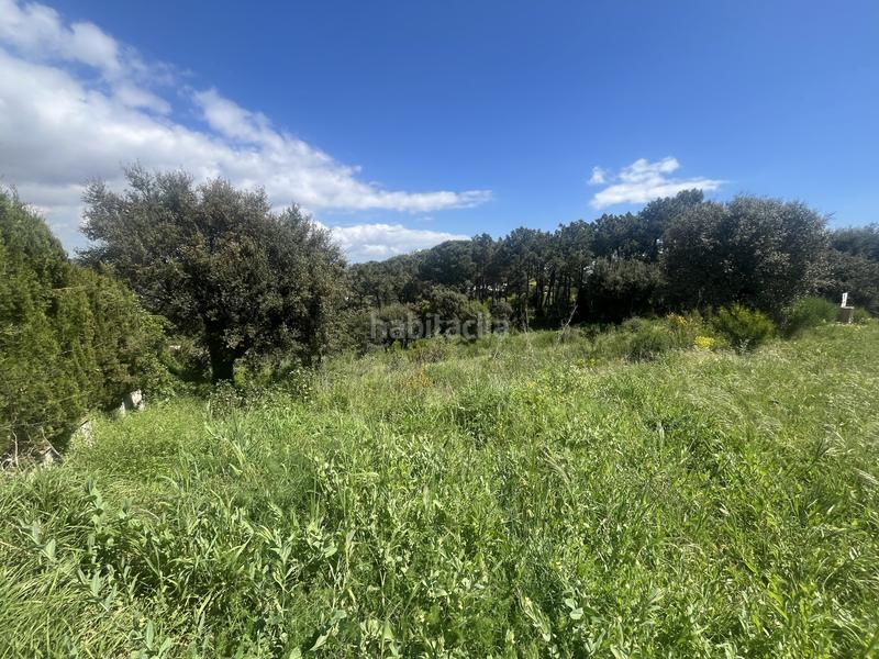 Foto 40d68a85-c16f-4bdb-bbea-db009c05474c. Wohngrundstück in Urbanitzacions Platja d´Aro