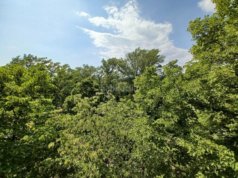 Foto cb5fcd56-c269-4919-bf95-a000f8976ec3. Pis a Pont Major - Pedret - Campdorà Girona