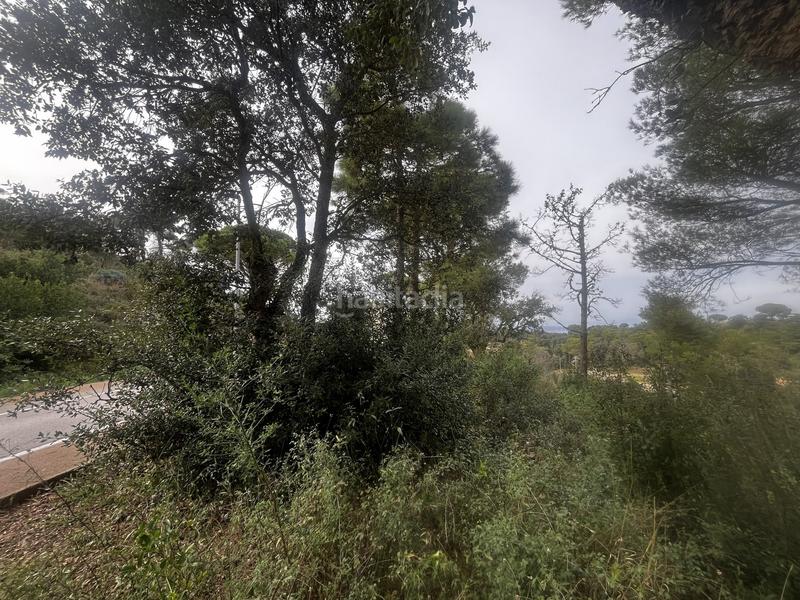 Foto 063be0b3-6bad-4809-9eeb-af560c3efe43. Terreny residencial a Begur Begur