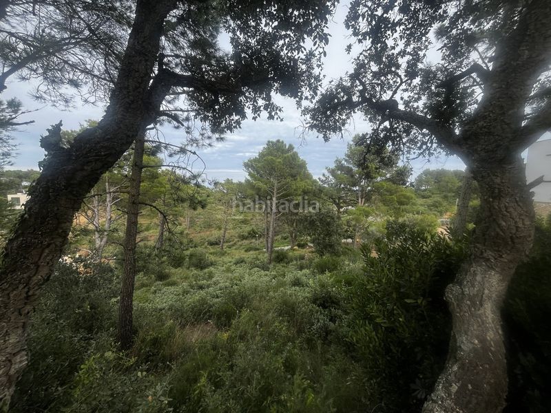 Foto d9c422f4-65ef-49f6-ad5a-9f93f6d7e20d. Terreny residencial a Begur Begur