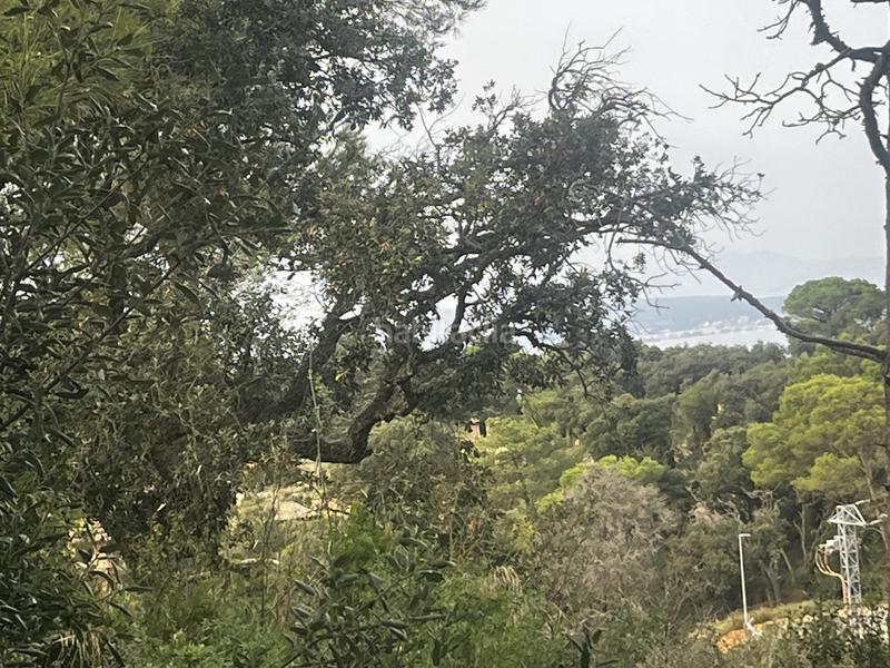 Foto 6bf3cd15-7691-4e8e-a788-9d626da8be5b. Wohngrundstück in Begur Begur