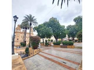 Local Comercial en Centro