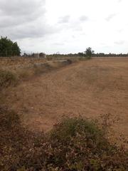Rural plot in Sencelles. Jesús