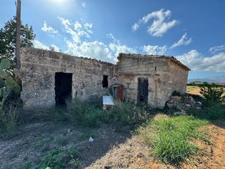 Finca rústica a Sa Pobla. Yo mismo