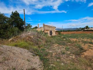 Finca rústica en Sa Pobla. Yo mismo