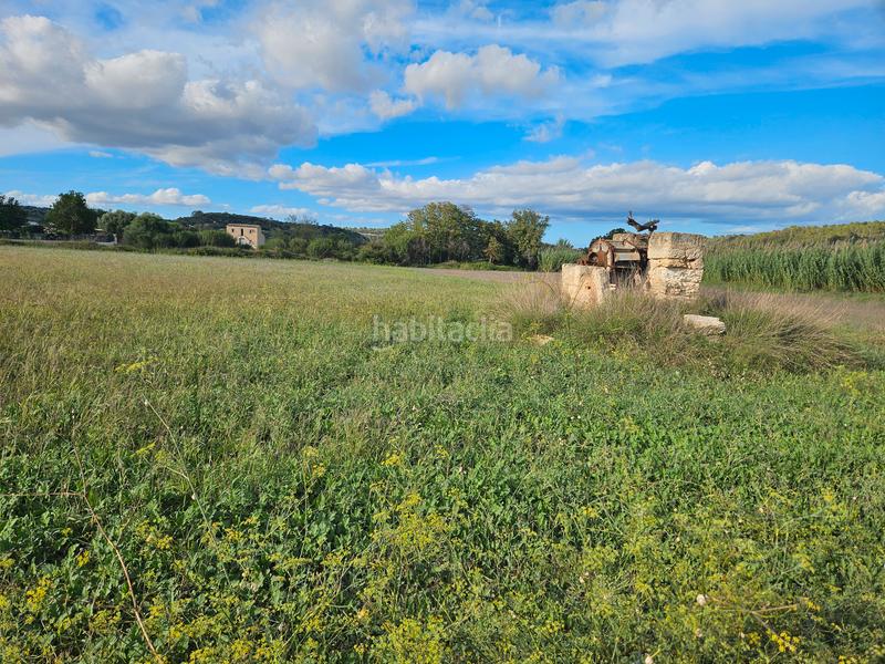 Foto b0fe3c94-dfb9-4ee8-ae5b-faff1a4b1e0e. Propriété dans Petra