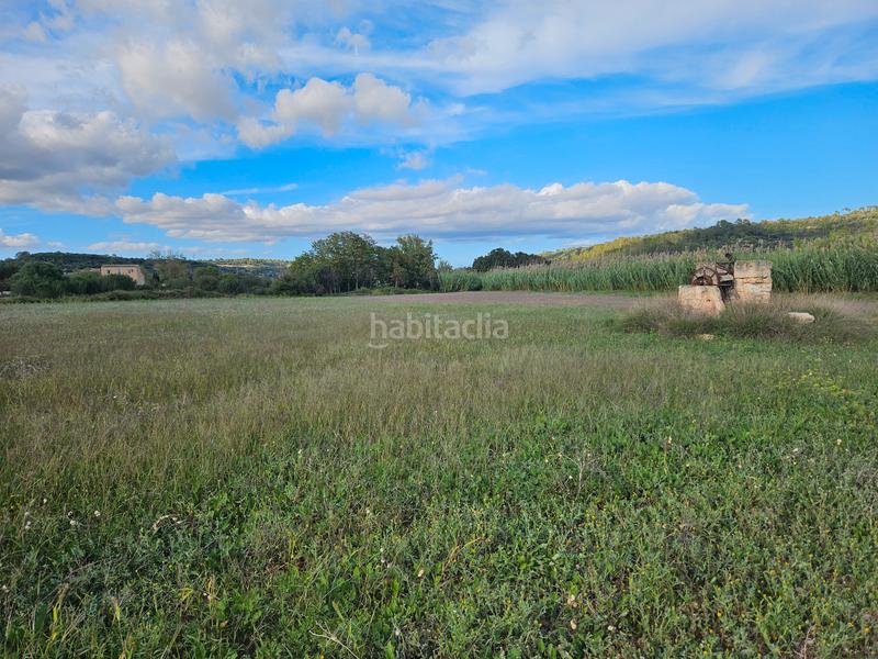 Foto b5c1940a-0944-4dd0-96cc-537460edbb5d. Propriété dans Petra