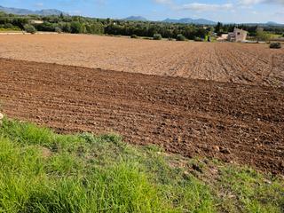 Propriété à Manacor Centre. Yo mismo
