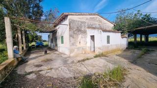 Rural plot in Carrer baltasar bestard 3. Jesús