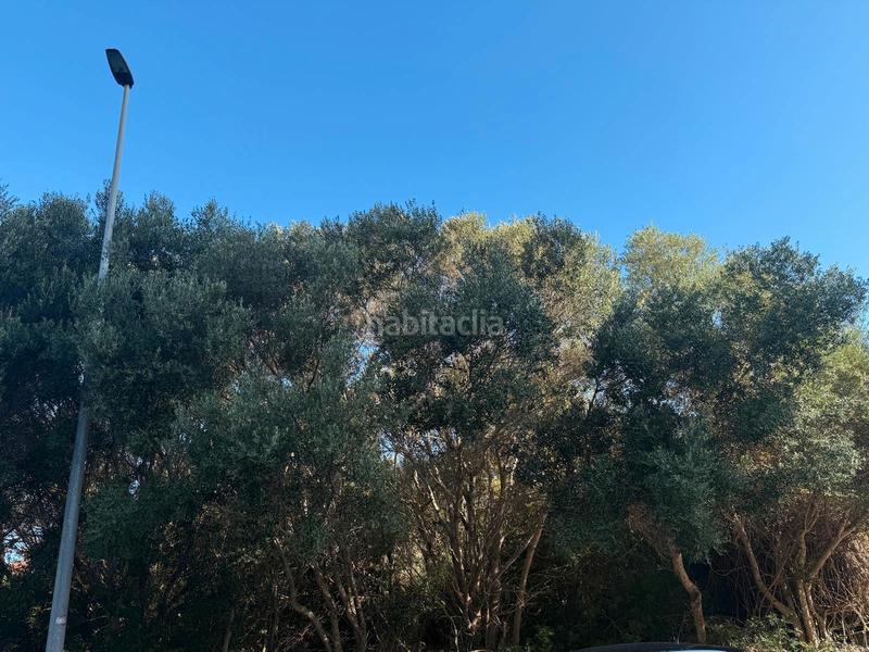 Foto 767edbad-d510-4300-9457-1927e09683b0. Terreny residencial a carrer de sa mola 101 a Cales de Mallorca Manacor