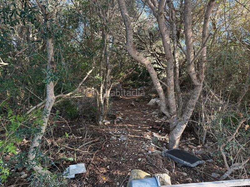 Foto d4804255-a91e-4c60-9a3e-4650c7293c8f. Terreny residencial a carrer de sa mola 101 a Cales de Mallorca Manacor