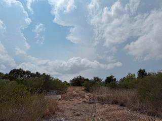 Rural plot in Carrer de sant llorenç del cardassar 59. Yo mismo