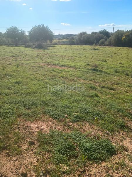 Foto c1c0291c-bf26-4478-b18b-e8a9b57f92d6. Propriété dans carrer marineta 4 dans Manacor centre Manacor