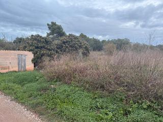 Rural plot  Carretera son carrió o son negre 2. Yo mismo