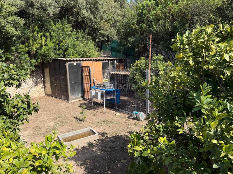 Foto 22a8adb7-9342-47fa-ae84-1a570f877a0c. Rural plot in carretera artà-alcúdia 999 in Can Picafort Santa Margalida