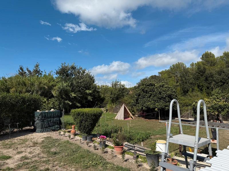 Foto 254cf0e8-b1a4-4835-9c1c-50e7951cbf08. Rural plot in carretera artà-alcúdia 999 in Can Picafort Santa Margalida