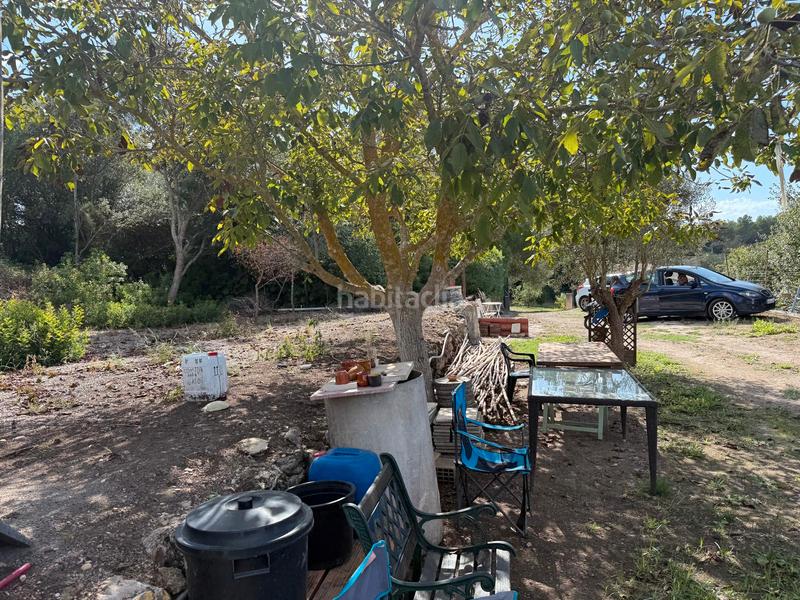 Foto 26872f0c-7d0c-4844-bf46-8ae5f3f58b64. Rural plot in carretera artà-alcúdia 999 in Can Picafort Santa Margalida