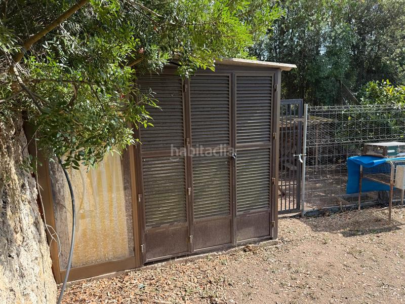 Foto 2ecc656c-40d3-4c81-b861-90ee661fbaaa. Rural plot in carretera artà-alcúdia 999 in Can Picafort Santa Margalida