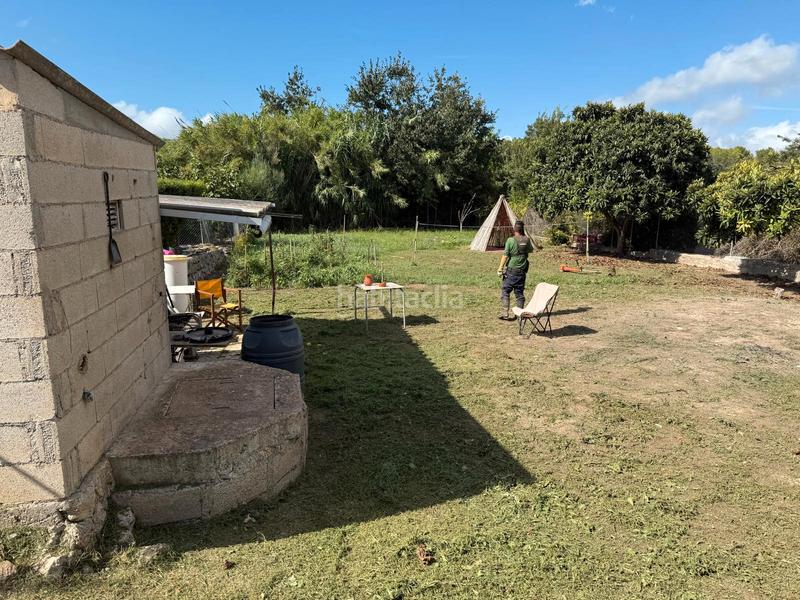 Foto 375984d6-4956-4d17-ab97-7403136ea7ca. Rural plot in carretera artà-alcúdia 999 in Can Picafort Santa Margalida