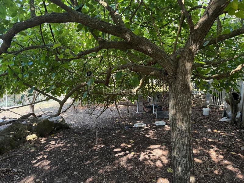 Foto 4f7be391-bce8-4605-aa84-ad76bdec70d8. Rural plot in carretera artà-alcúdia 999 in Can Picafort Santa Margalida