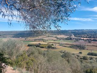 Rural plot in Diseminado sector num 3 192. Yo mismo