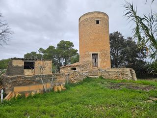 Rural plot  Carrer d'es badaluc