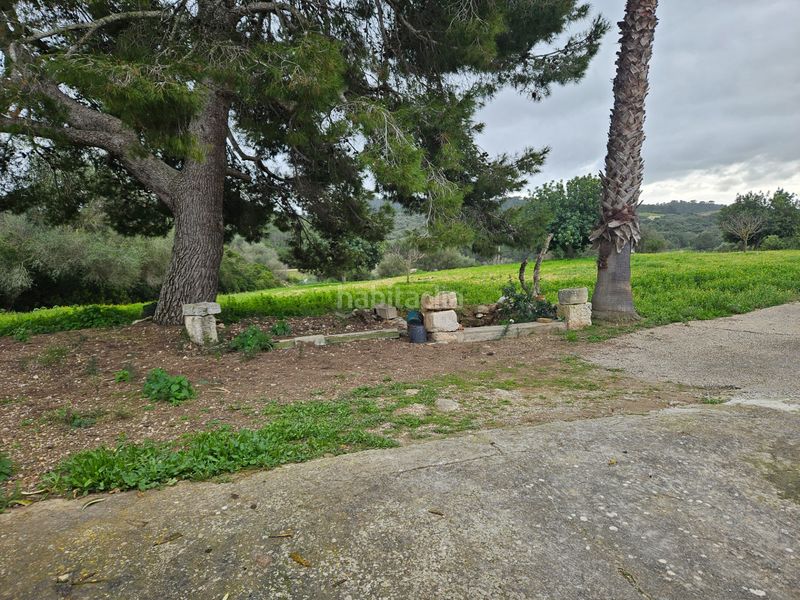 Foto 04a2693b-d82e-47ef-b3fc-869e0947de38. Finca rústica a Felanitx poble Felanitx