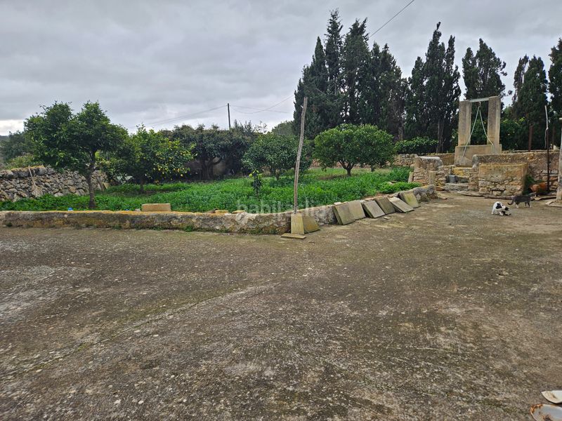 Foto 04f73604-c05a-4cad-b16b-2ec1a2399e8b. Finca rústica a Felanitx poble Felanitx