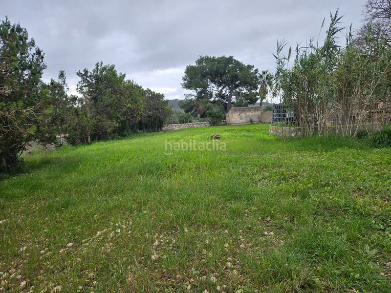 Foto 57925a8b-ffb1-46d6-8e7f-d3a70c1c99da. Finca rústica a Felanitx poble Felanitx