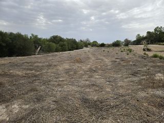 Finca rústica en Montuïri. Jesús