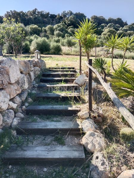 Foto 5b6c847b-9cea-4d9a-84db-5610812dbd84. Casa a Petra