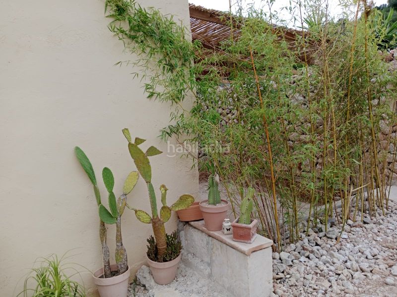 Foto 733fa249-2b9f-4d93-a30b-942c39ddb1bd. Casa a Petra