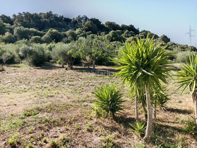 Foto eaf9c1ad-7d05-44fd-873f-b608e4957d49. Casa a Petra